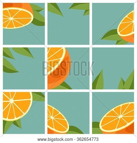 Orange Citrus Fruit Abstract Background Or Pattern Vector Illustration