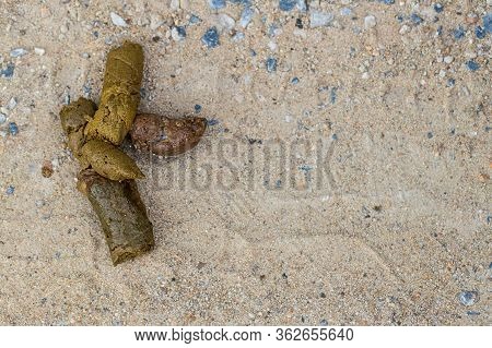 Dog Golden Poop On The Street. Close Up Feces, Background Of Dog Poop On The Soil Ground. Dog Feces 