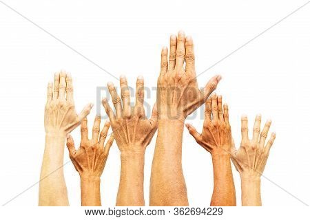 Group Of Hands Raising On White Background With Clipping Path