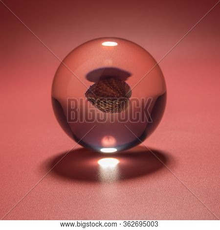 Seashell In A Glass Ball On A Pink Background