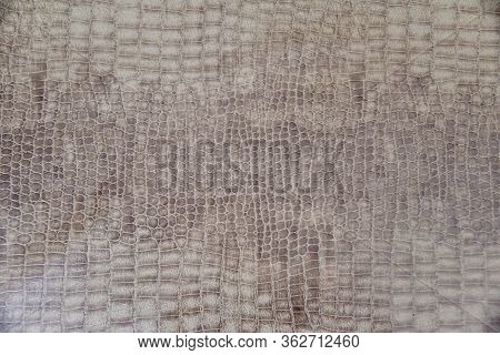 Crocodile Skin Pattern. Elegant Crocodile Leather Texture Background