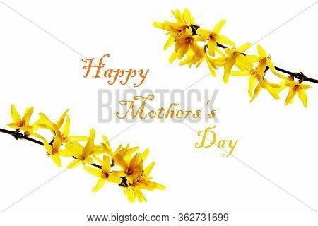 Mother's Day Concept-- Yellow Flowers With Happy Mothers Day Inscription, White Background