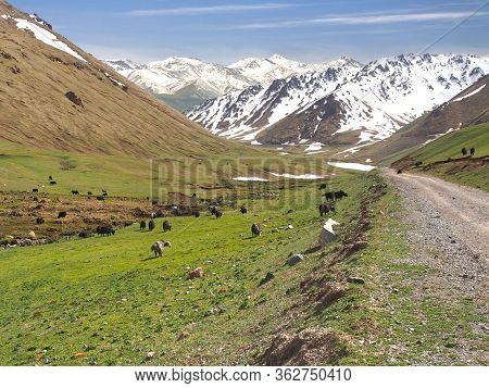 The Ala Archa National Park In The Tian Shan Mountains Of Bishkek  Kyrgyzstan