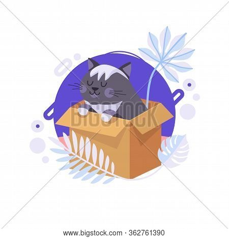 Cartoon Cat Staying In The Box And Thinking About Life Meaning. British Cat Can Be Delivered To Some