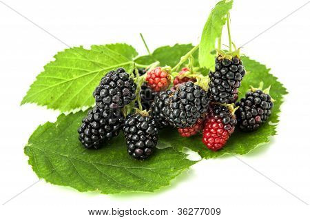 BlackBerry isoliert