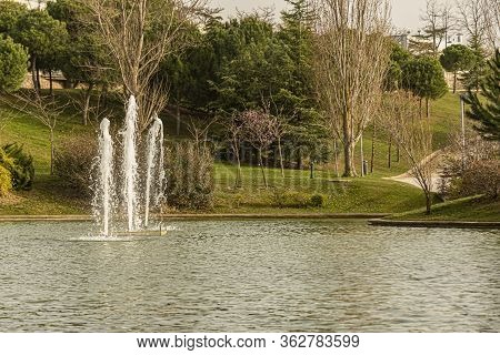 Jets Of Water In The Lake Of The Central Park Of The City Of Tres Cantos. Madrid Spain.