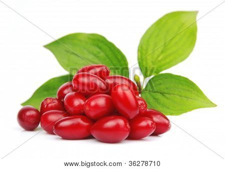 Sladký Dogberry