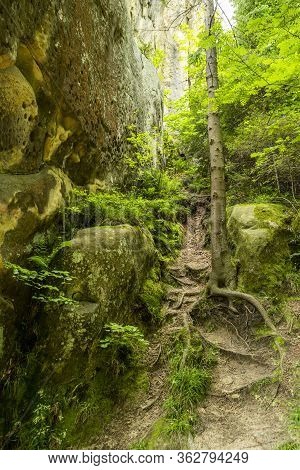 Urich Village,  Lviv Region, Ukraine, May 26, 2019, Museum Tustan Fortress, Truskavets,