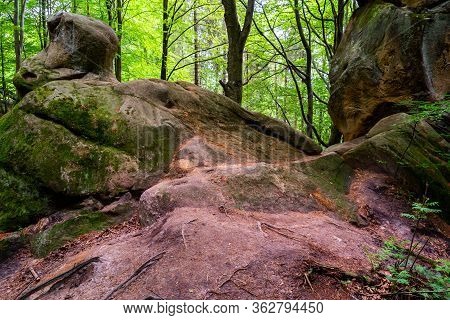 Urich Village,  Lviv Region, Ukraine, May 26, 2019, Museum Tustan Fortress, Truskavets,
