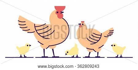 Chicken Family Flat Vector Illustration. Isolated Orange Rooster, Hen And Yellow Cute Chicks. Henner