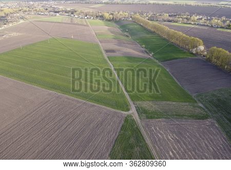 Small Agricultural Plantations With Different Crops And Growing Crops In Rural Areas.