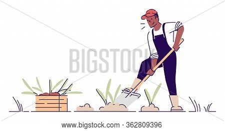 Farmer Digging Up Crop Flat Vector Character. African American Man Gardening Cartoon Illustration Wi