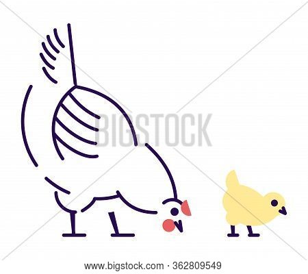 White Hen With Yellow Chick Pecking Flat Vector Illustration. Domestic Bird Breeding Concept. Mother