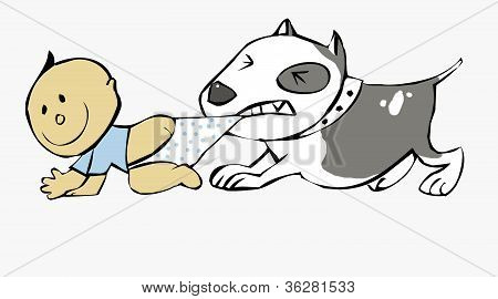 Pit bull tahání Baby