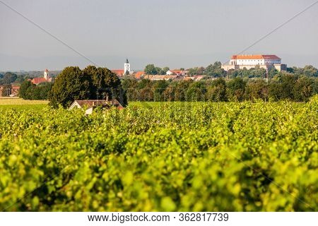 vineyards and Siklos castle, Hungary