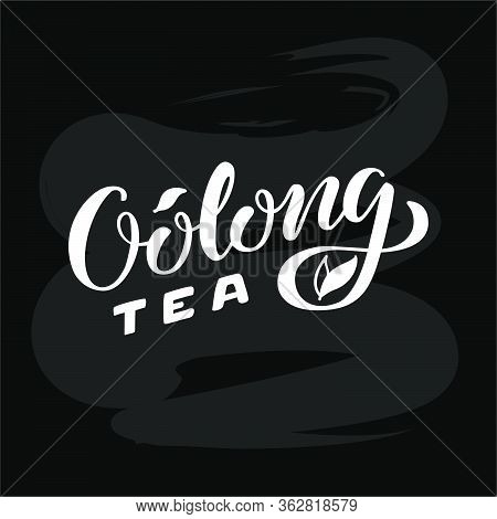 Vector Illustration Of Oolong Tea Brush Lettering For Package, Banner, Flyer, Poster, Bistro, Cafe, 