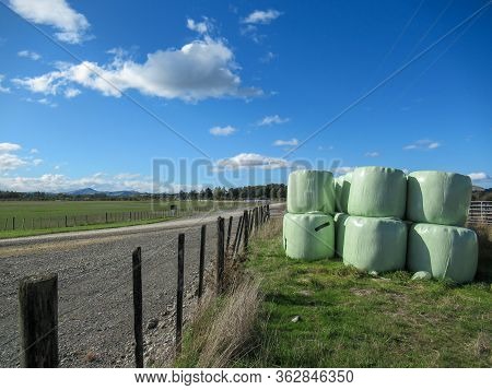 Baleage Or Hay Wrapped In Plastic For Winter Feeding Of Animals Being Stored On The Farm In Rural Ne