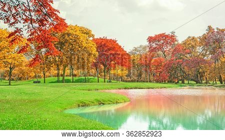 A Beautiful Park In An Autumn Season, Yellow And Orange Colorful  Leaves Of The Trees On Green Grass