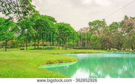 Beautiful And Good Mainternance Of A Park  Under Cloudy Sky, Beauty Trees On Green Grass Fresh Lawn 