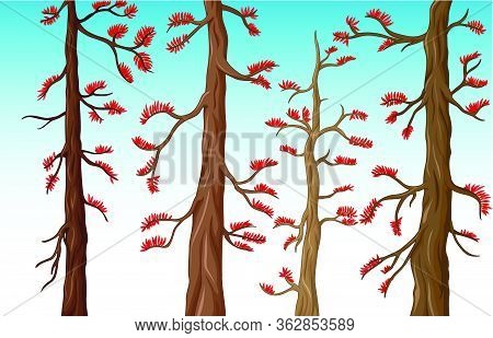 Cool Red Leaves Tree Cartoon Vector Illustration