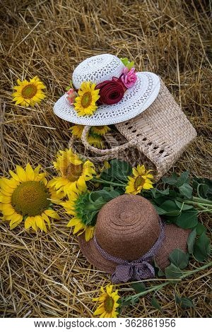Still Life Of Hats And Baskets With Sunflowers On A Mowed Field