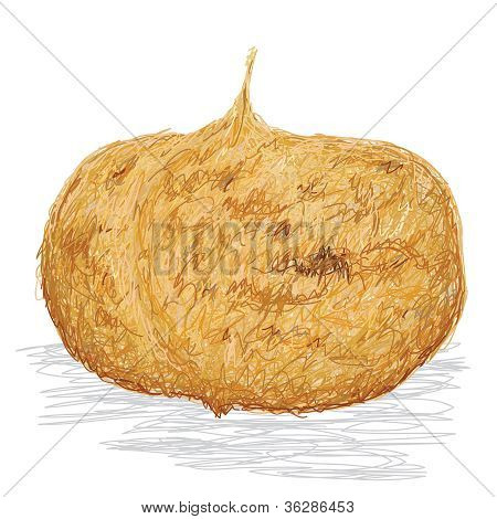 Jicama