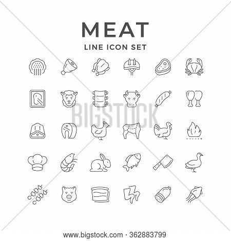 Set Line Icons Of Meat Isolated On White. Forcemeat, Pork, Mutton, Shrimp, Seafood, Fish, Bird, Chic