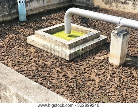 Sludge Treatment In Wastewater Management System, Flowing Brown Smelly Liquid And Drying In Sludge B