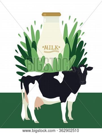 Milk In Bottle On Floral Background Holstein Friesian Cow Flat Vector Illustration Farmland And Agri