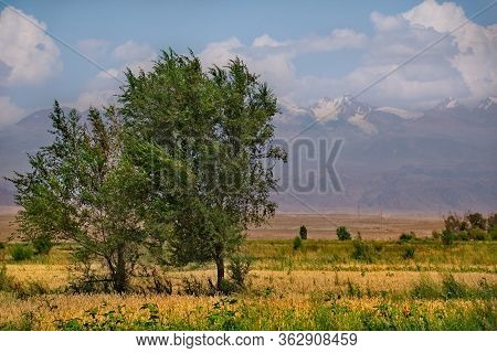 Kyrgyzstan. Kungei-alatau Mountain Range On The Northern Coast Of Lake Issyk-kul.