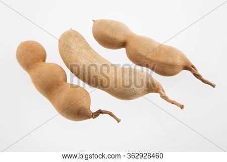 Tamarind Tropical Fruit - Tamarindus Indica. Text Space