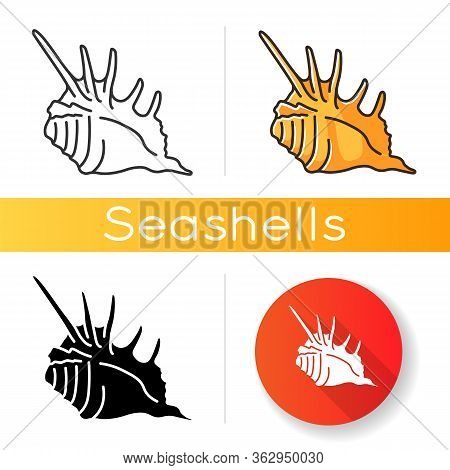 Spiked Seashell Black Glyph Icon. Exotic Sea Shell, Conchology Silhouette Symbol On White Space. Tro