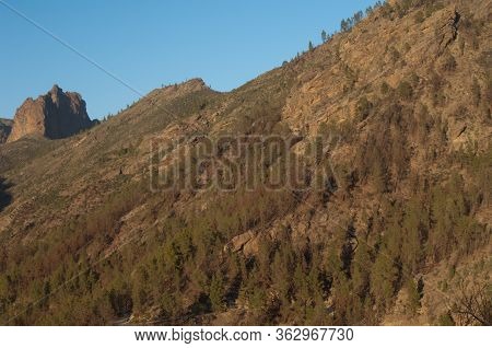 Slope Of The Juncal Ravine And Risco Chirimique In The Background.
