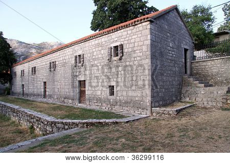 House Of Negush