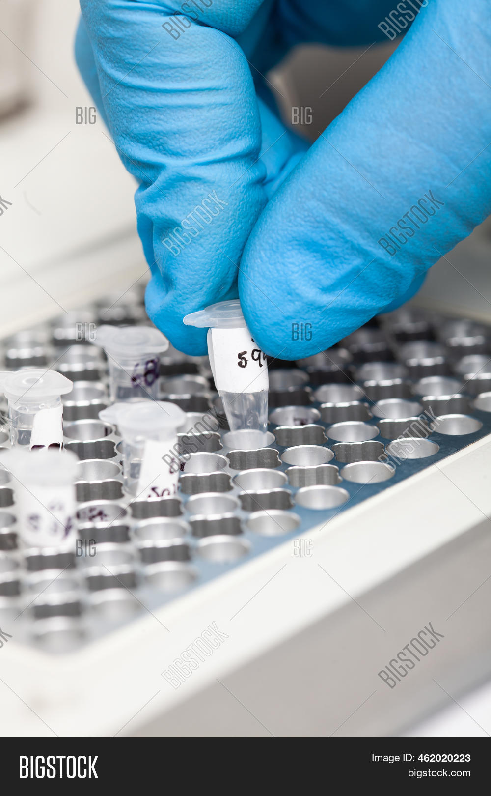 Closeup Scientist Hand Image & Photo (Free Trial) | Bigstock