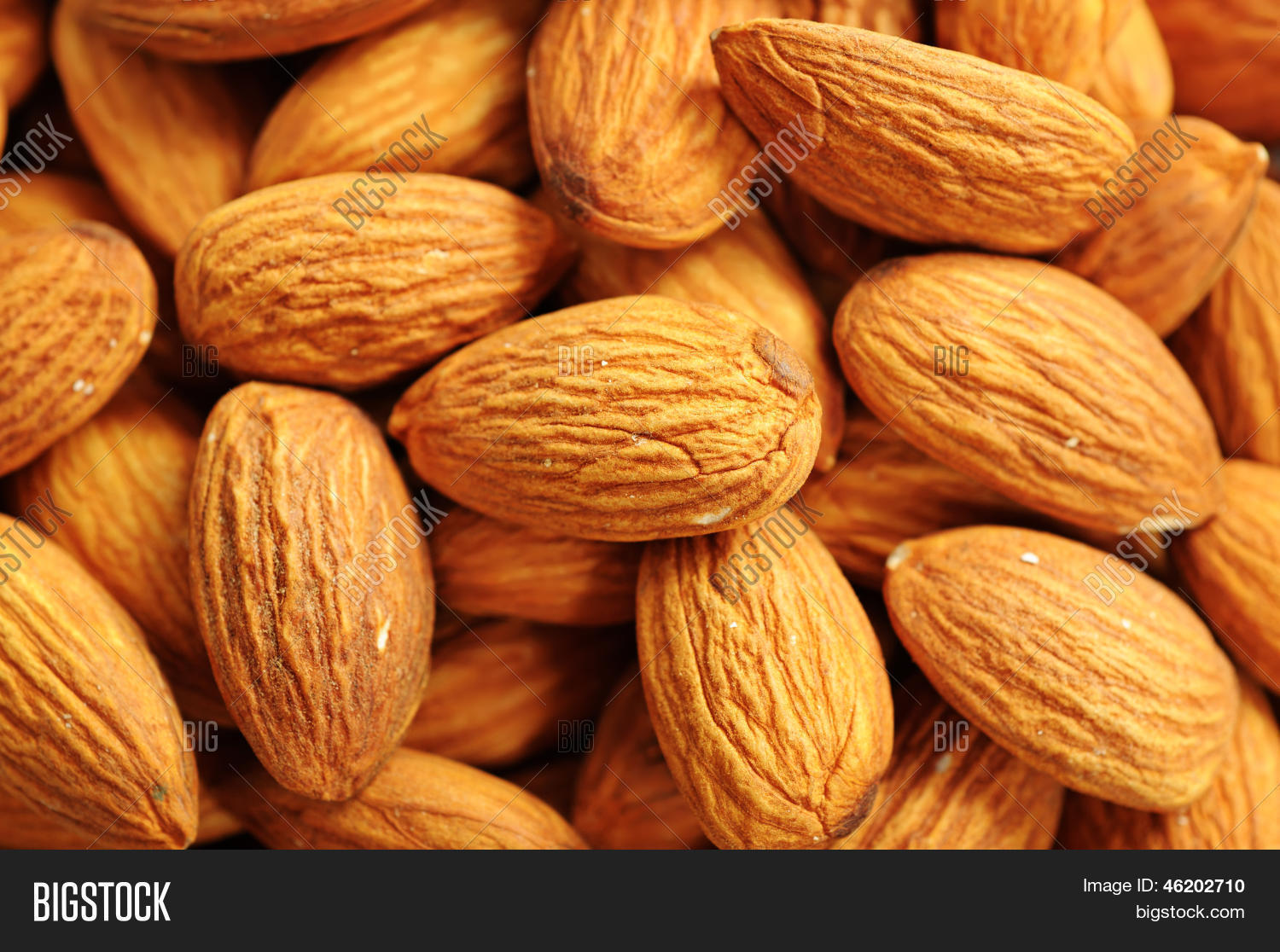 Almondcollective