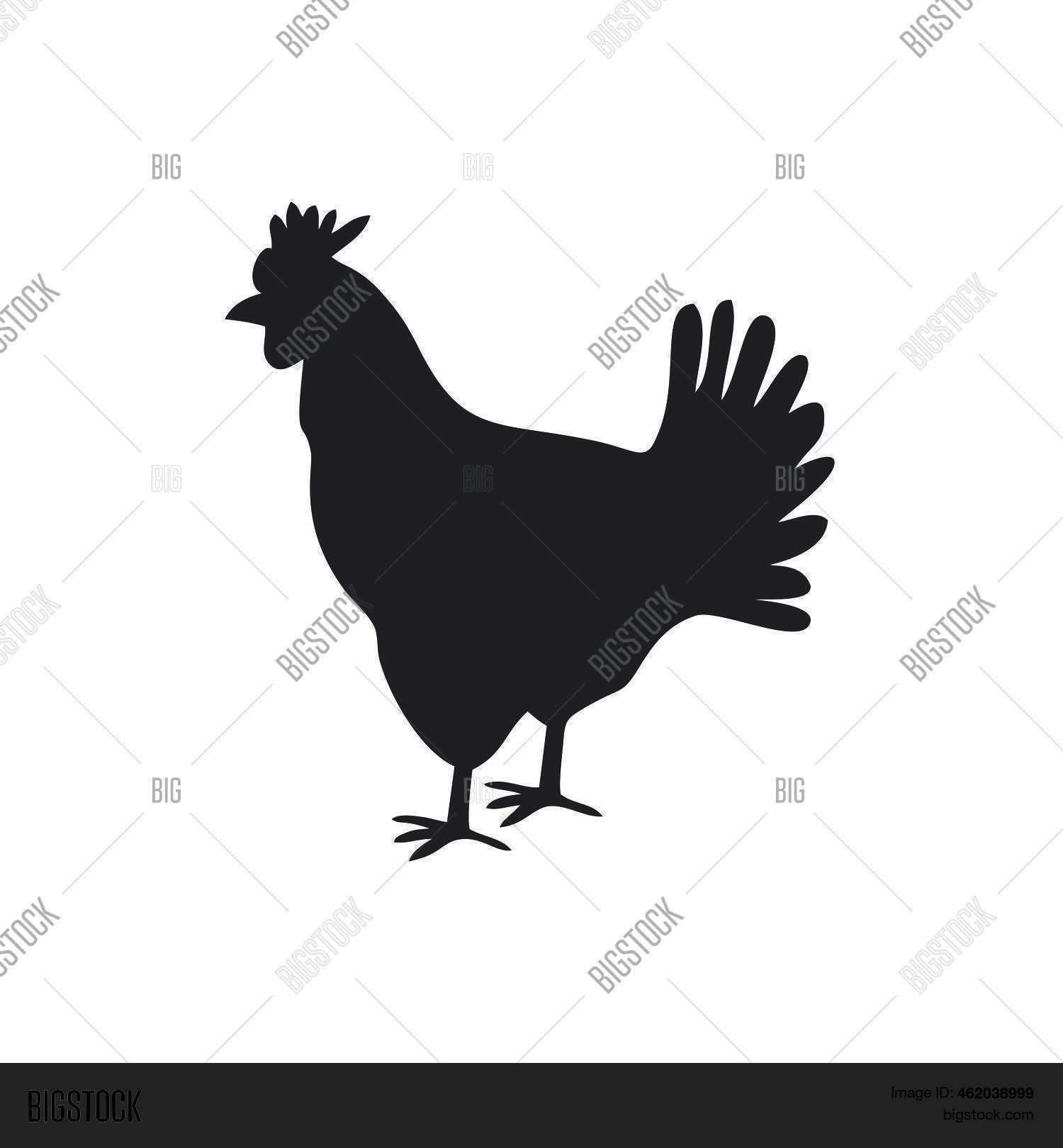 Chicken Icon Template Vector & Photo (Free Trial) | Bigstock