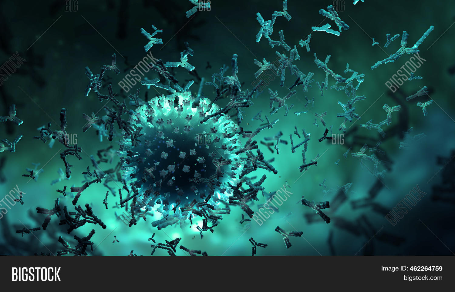 Antibodies Blood. Image & Photo (Free Trial) Bigstock