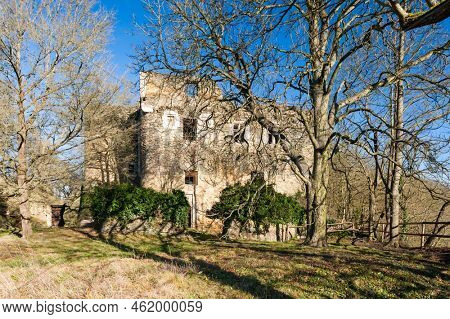 ruins of Novy Hradek castle near Lukov, Znojmo region, Czech Republic