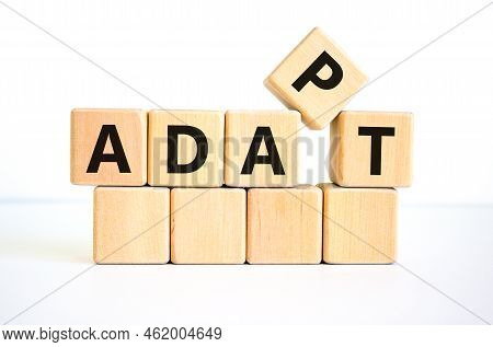 Adapt Symbol. The Concept Word 'adapt' On Wooden Cubes. Beautiful White Table, White Background. Bus