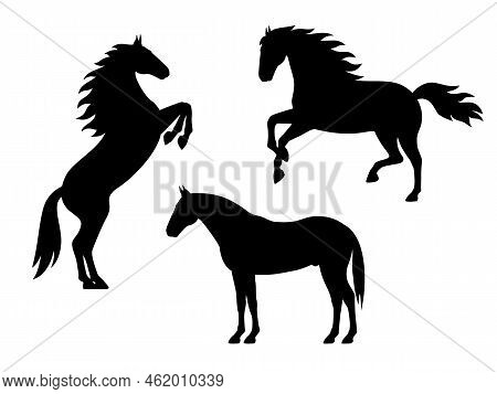 Set Of Silhouette Horses. Vector Illustration Of Black Horse Silhouette Set Isolated On White. Logo 