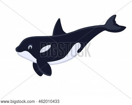 Swimming Cartoon Killer Whale. Vector Illustration Swimming Cute Cartoon Whale Orca Isolated On Whit
