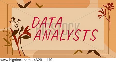 Hand Writing Sign Data Analysts. Business Showcase Programmer Design And Create Report Identifies Pa