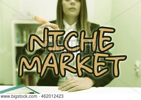 Text Showing Inspiration Niche Market. Concept Meaning Subset Of The Market On Which Specific Produc