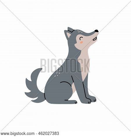 Gray Wolf Howls. Cartoon, Wolf Grey The Nature Of The Character.