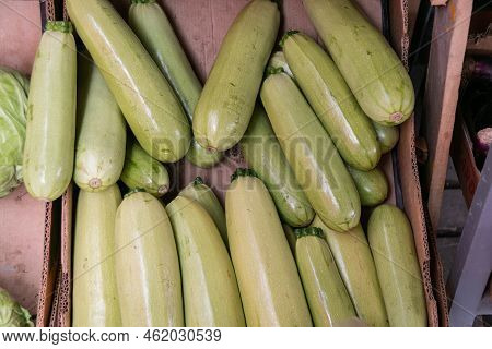 Fresh Vegetable Marrow On The Counter For Sale. Selling Vegetable Marrow At The Rural Market. Vegeta
