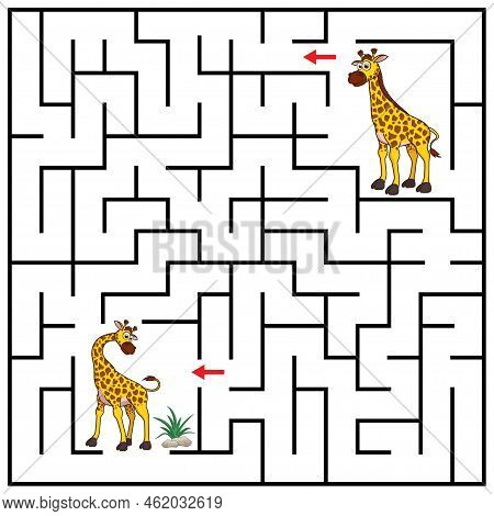 Maze Or Labyrinth For Children With Cartoon Giraffe. Find Right Way To The Baby. Answer Under The La