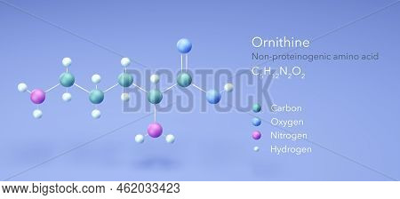 Ornithine, Molecular Structures, Amino Acid, 3d Model, Structural Chemical Formula And Atoms With Co
