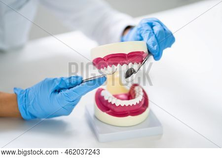 Teeth Care And Dentistry Model. Dentist Doctor