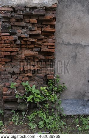 Howrah, West Bengal, India - 26th October 2020 : Old Bricks And New Plants Of Andul Rajbarhi , A Pal